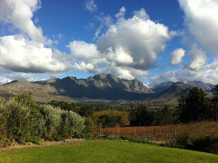 Южна Африка, лозя, планински