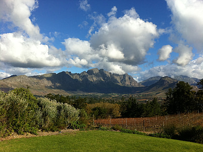south africa, vineyards, mountain