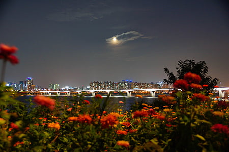 la rivière Han, vue de nuit, automne