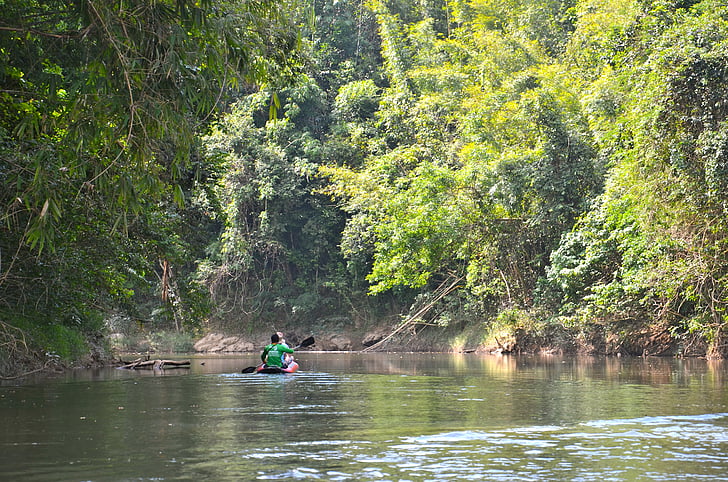 thailand, flodfärd, river, canoe, water, jungle, khaolak