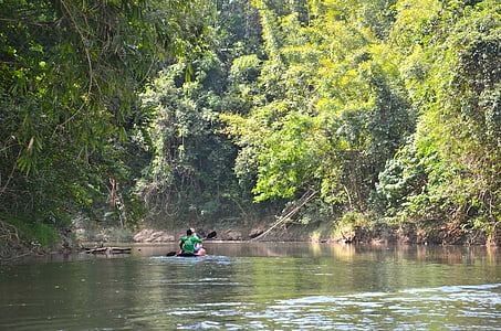 Thailand, flodfärd, floden, kanot, vatten, djungel, Khaolak