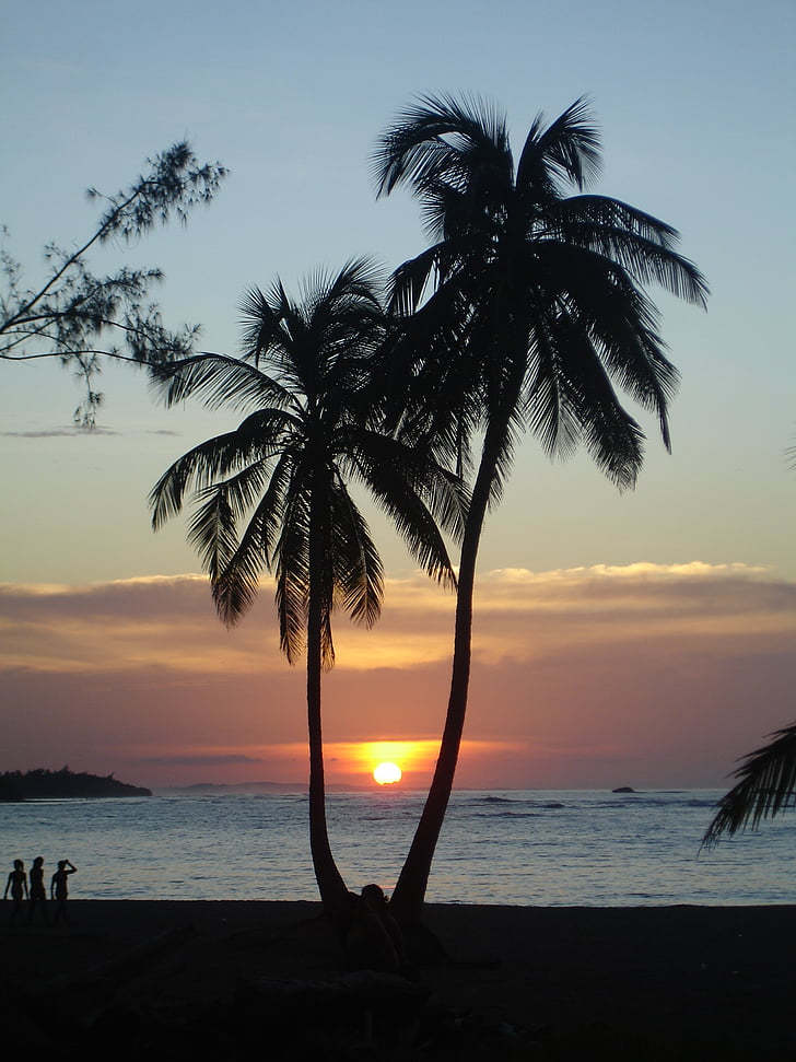 zonsondergang, palmen, tropische, strand, vakantie, Toerisme