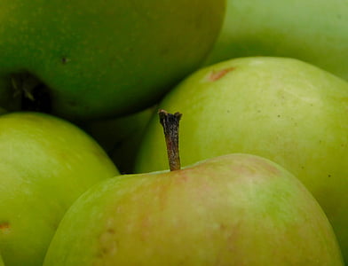 アップル, obstfall, フルーツ, 果物, ビタミン, 健康的です, 青リンゴ