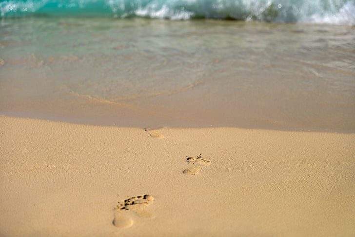 следы, песок, пляж, мокрый, шаги, футов, следы