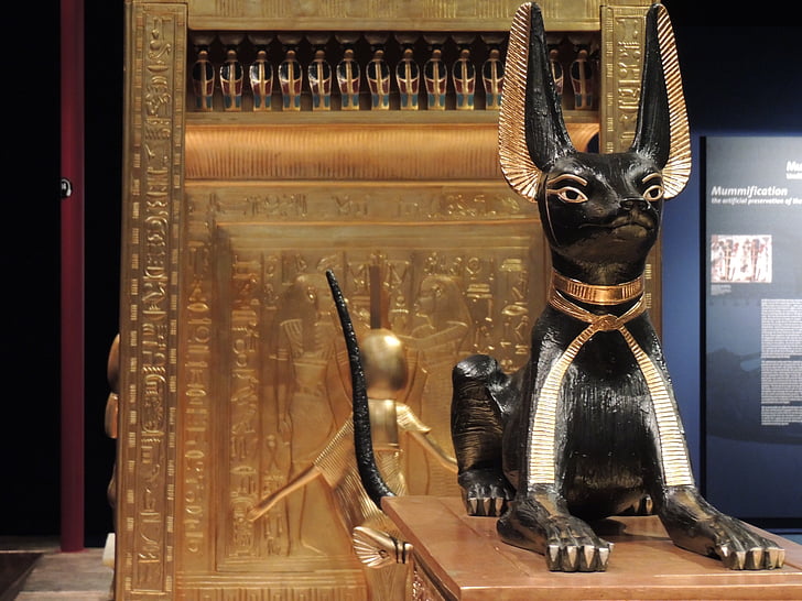 Egipat, Sveto, mačka, spomen, životinja, kip