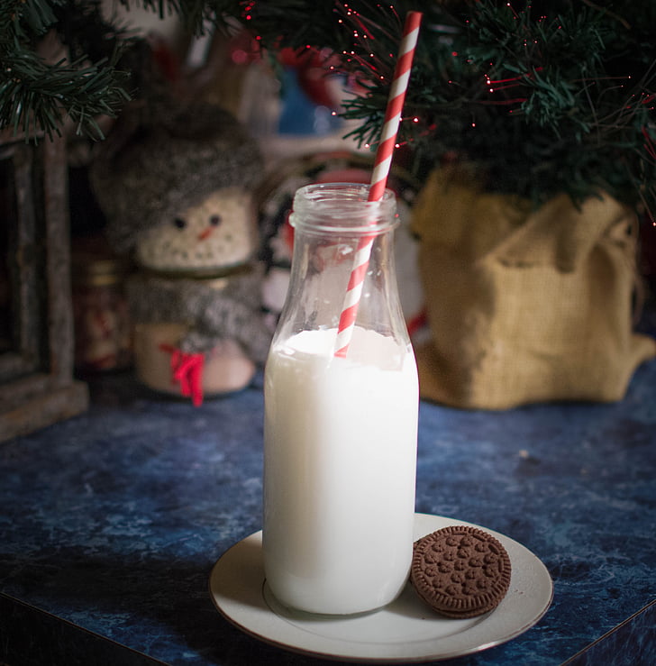 Santa, tej, Karácsony, üveg, ünnepe, december, boldog