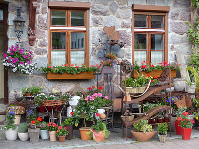 okno, cvetje, roleta, domov, fasada, zunanji, cvet