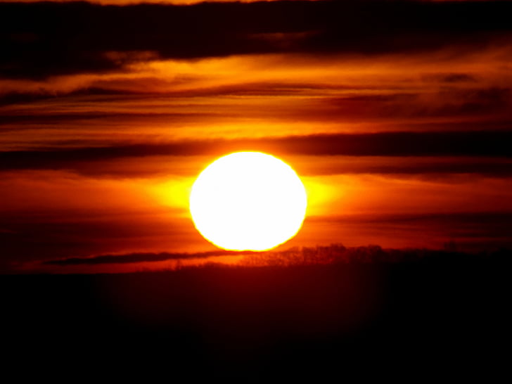 sunset, sun, cloud, sky, in the evening, orange