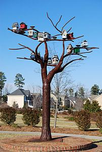 cajas nido para pájaros, casas del pájaro, árbol de acero, escultura, carolina del norte