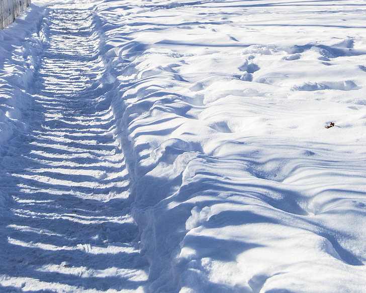 сняг, път, сянка, бяло, ден, зимни, Колорадо