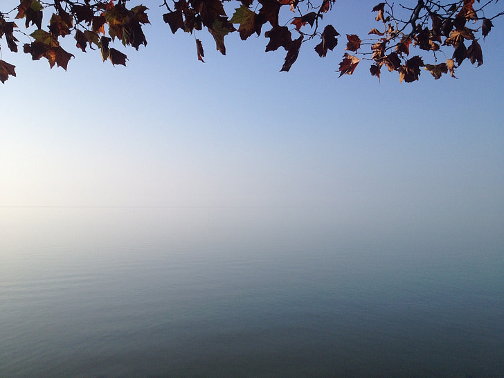 Lago balaton, autunno, foglie, mare