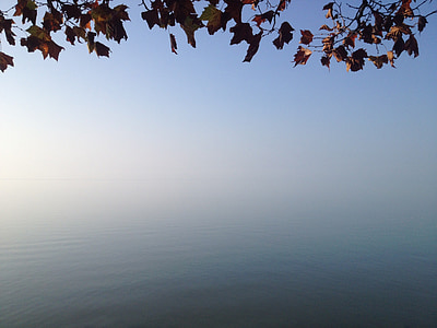 Balatonsjön, hösten, lämnar, havet