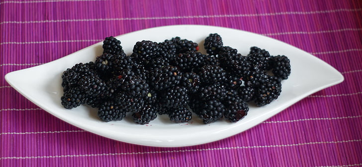 블랙베리, 야생 딸기, 베리, 건강 한, 과일, 비타민, 다이어트