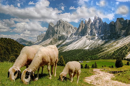 Dolomiten, Berge, in Südtirol, Alpine, Italien, Wandern, UNESCO-Welterbe