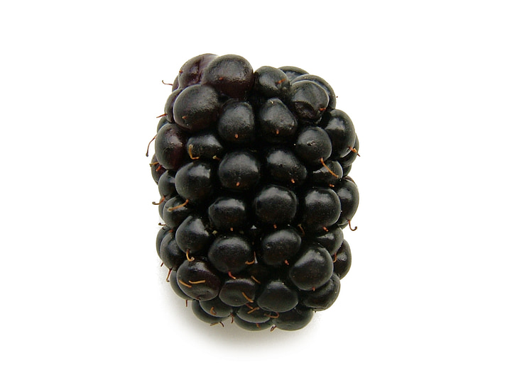 BlackBerry, fruta, Berry, alimentos, fresco, saludable, dulce