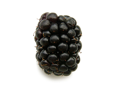 BlackBerry, buah, Berry, Makanan, segar, sehat, Manis