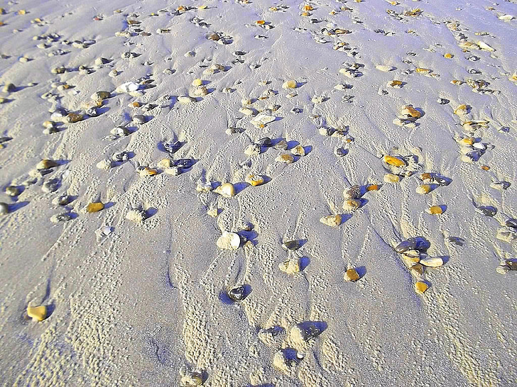 Beach, kamni, pesek, Danska