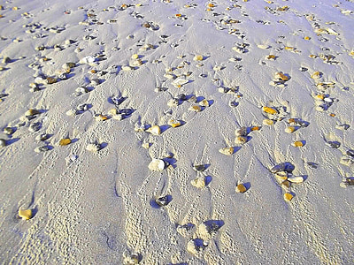 plage, pierres, sable, Danemark