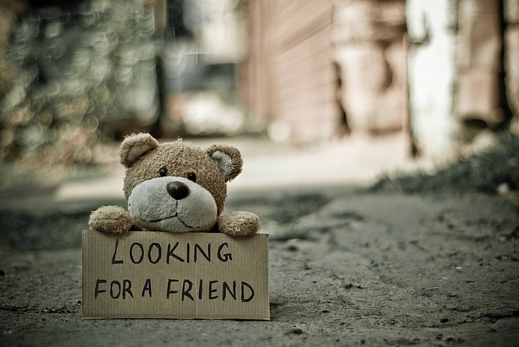 cuddly toy, handwriting, lonely, message, outdoors, signboard, street