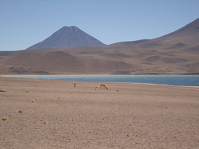 volcà, Llac, paisatge, natura, l'Outlook, àmplia, Xile