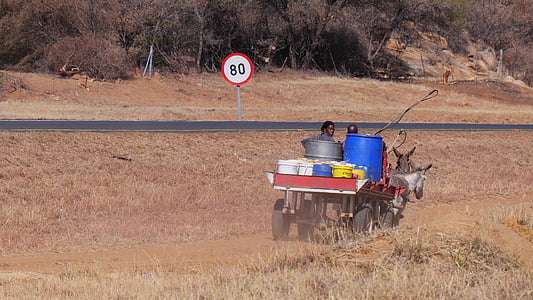 Botswana, charrettes à ânes, trafic, tradition, transport, scène rurale, Agriculture