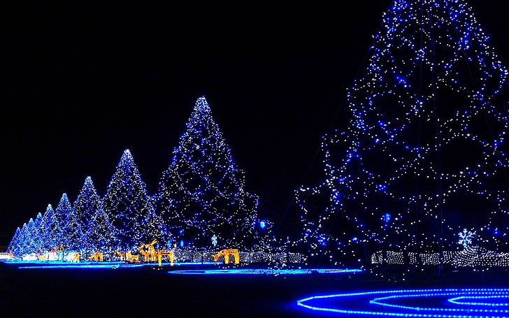 christmas, lights, blue