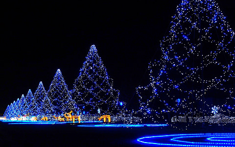 Karácsony, fények, kék