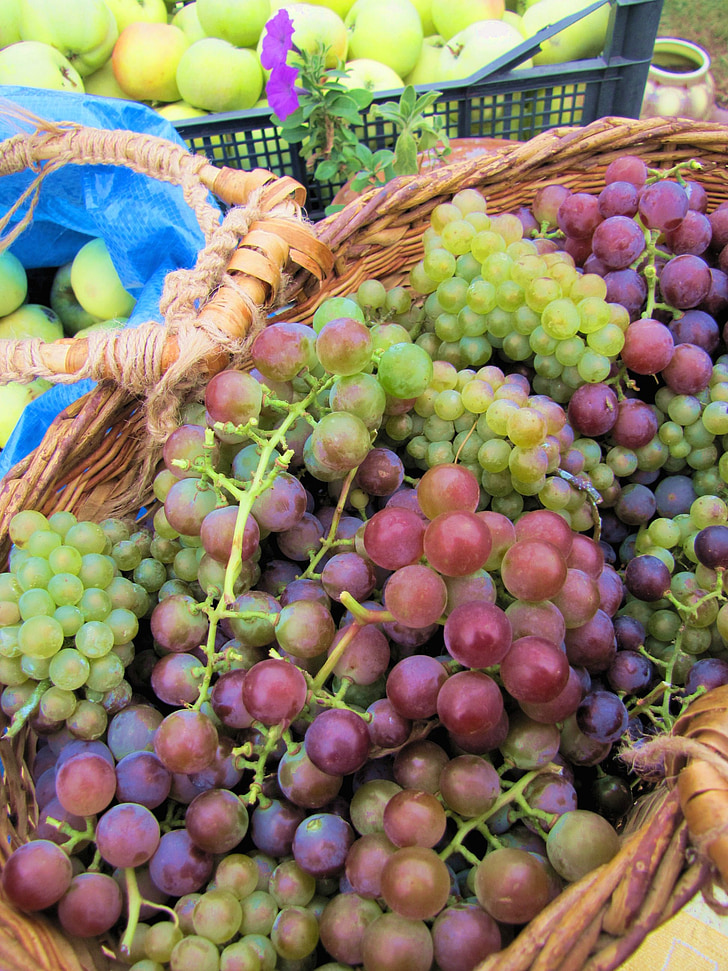 uvas, Berry, un montón de, cesta, verde, púrpura, brillante
