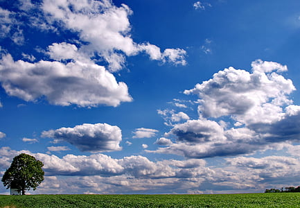 paisaje, cielo, nubes, cielo azul, naturaleza, Capilla, árbol