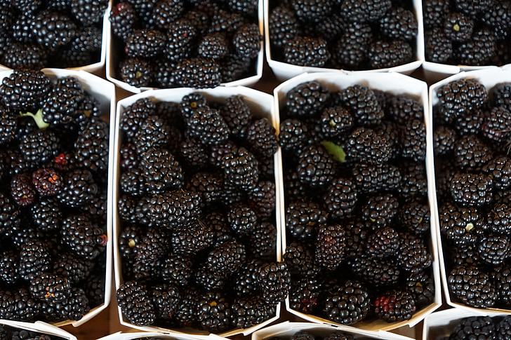 blackberries, eat, berries, vitamins, food