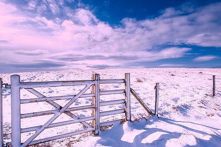 Engeland, landschap, sneeuw, winter, hek, Gate, boerderij