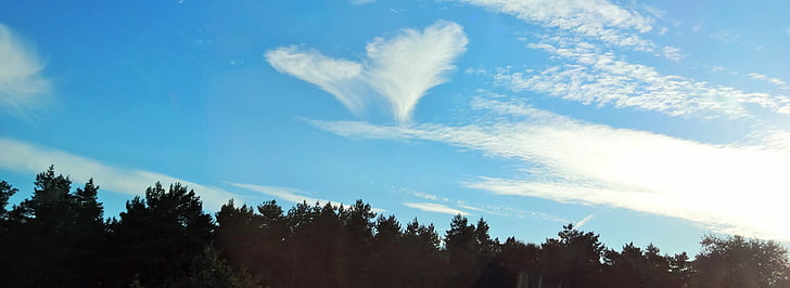 cor, núvol, cel, Àngel, cor en forma de, fons, targeta de felicitació