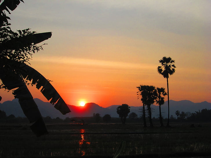 apus de soare, Kanchanaburi, Thailanda, palmieri, silueta, seara, amurg