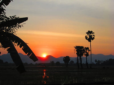 saulriets, Kanchanaburi, Taizeme, palmas, siluets, vakarā, krēslas stundā