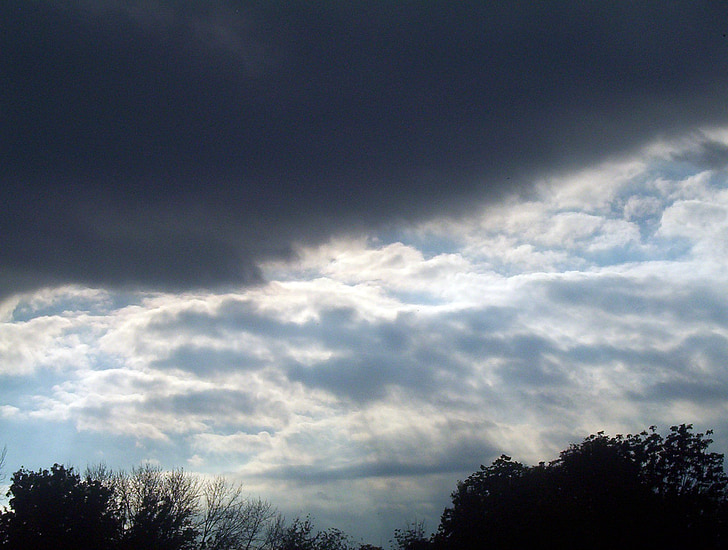 đám mây, bầu trời, cơn bão, cây, Silhouette, tối, chi nhánh