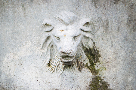 lion, building, wall, city, old, old building, urban