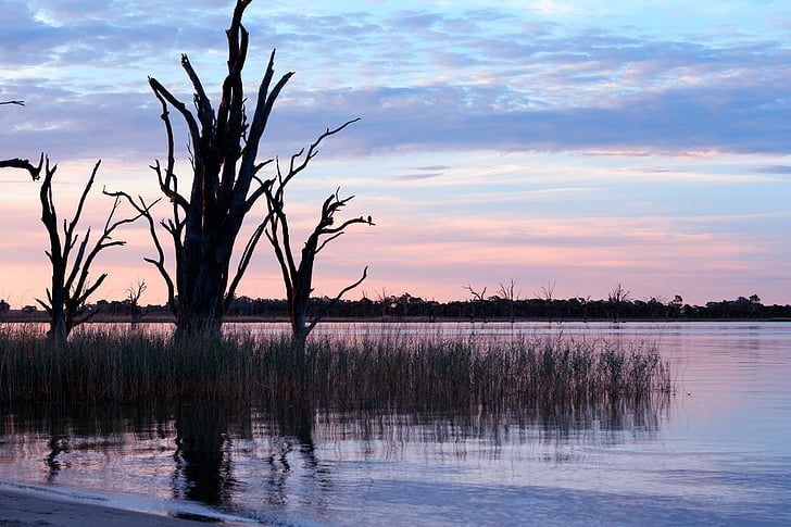 floden, Australien, naturskønne, aften, vand, slappe af, Sunset