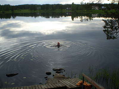 Λίμνη, κολύμπι, νερό, φύση, το καλοκαίρι, Κολυμπήστε, άγρια φύση