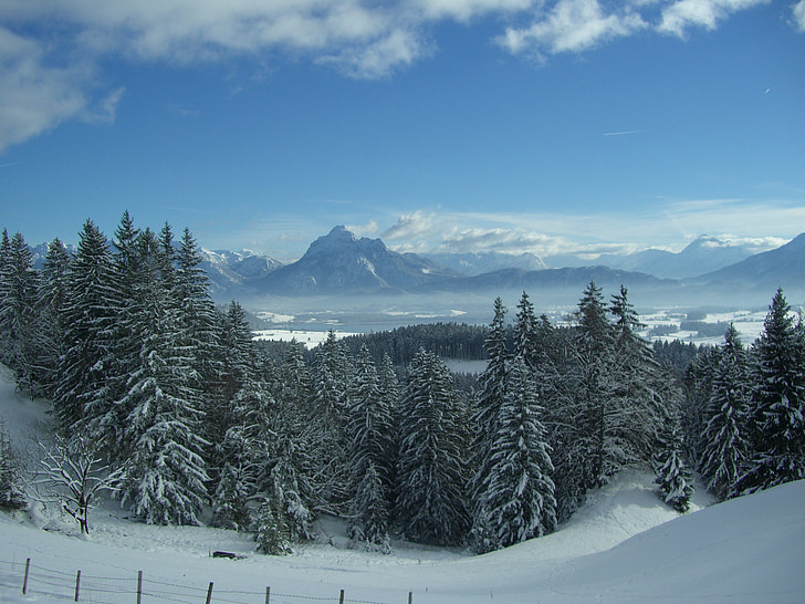 Füssener mark, Alpin, vinter, utsikt från senkele, alpint panorama, Säuling, snö