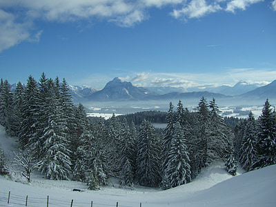 Füssener land, Alpine, Winter, Aussicht von der senkele, Alpen-panorama, Säuling, Schnee