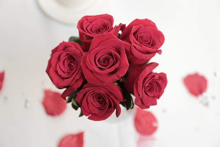 mawar, bunga, pernikahan, merah