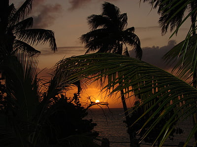 Plaża, chmury, palmy kokosowe, świt, Zmierzch, idylliczne, pozostawia