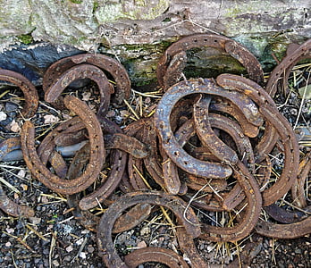 horse shoes, rusty, horse, horseshoe, luck, old, metal