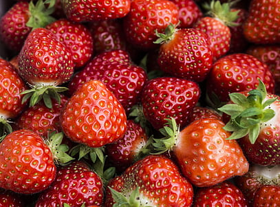 maasikas, maasikad, punane, puu, toidu, Armas, marja