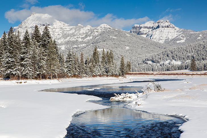 snow, winter, scenic, soda butte creek, yellowstone national park, wyoming, usa