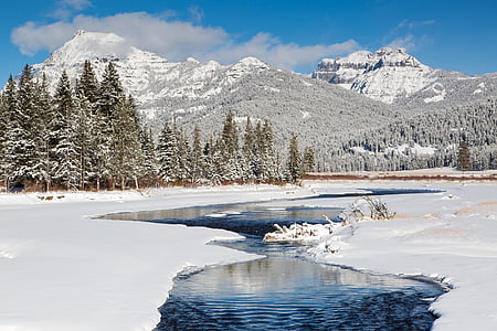 salju, musim dingin, indah, soda butte creek, Taman Nasional Yellowstone, Wyoming, Amerika Serikat
