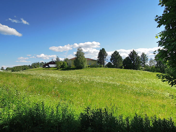 Tohmajärvi, Suomių, Šiaurės Karelija, seno pastato, pastatas, namas, žemės ūkis