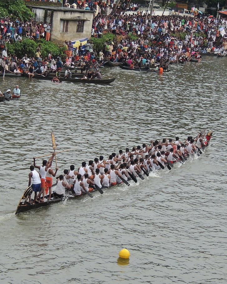 race, båd race, Kerala, Indien, båd, vand, Sport