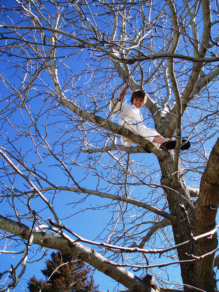 Tree climbing, ragazzo, albero, natura, inverno, scenico, freddo