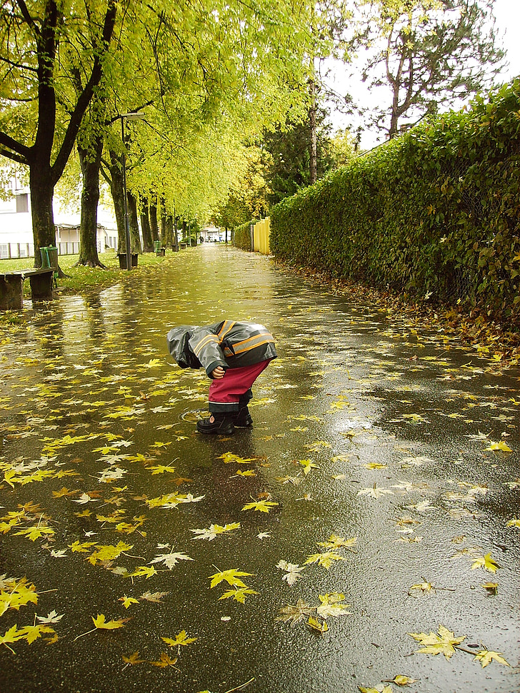 vihm, November, Sügis, loodus, oktoober, lehed, hooaja